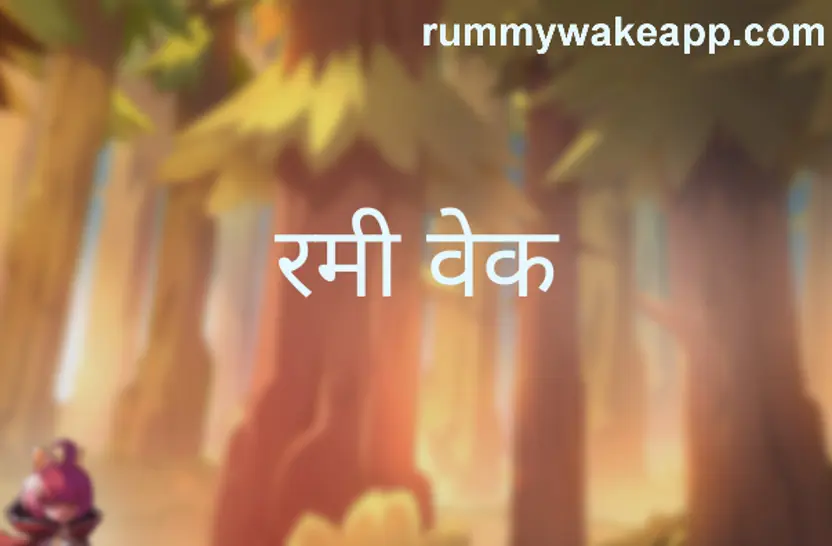 Rummy Wake withdrawal problem and safety review for India users 2025